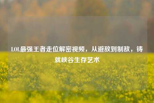 LOL最强王者走位解密视频，从避敌到制敌，铸就峡谷生存艺术