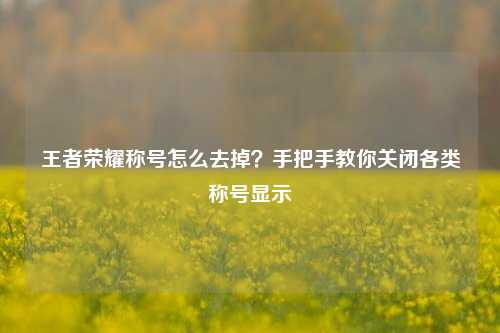 王者荣耀称号怎么去掉？手把手教你关闭各类称号显示