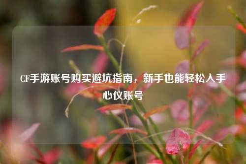 CF手游账号购买避坑指南，新手也能轻松入手心仪账号