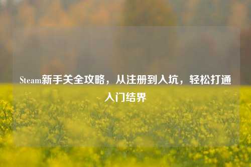 Steam新手关全攻略，从注册到入坑，轻松打通入门结界