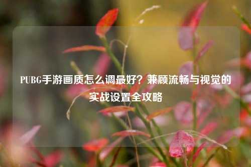 PUBG手游画质怎么调更好？兼顾流畅与视觉的实战设置全攻略