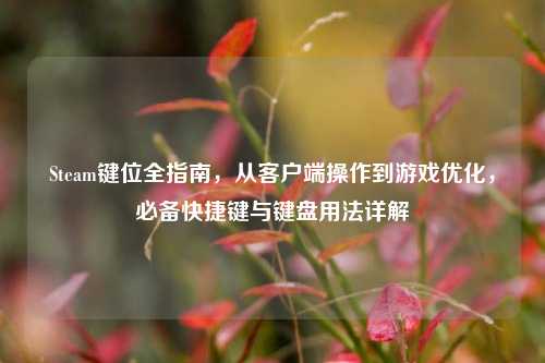 Steam键位全指南，从客户端操作到游戏优化，必备快捷键与键盘用法详解