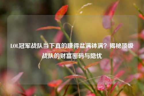 LOL冠军战队当下真的赚得盆满钵满？揭秘顶级战队的财富密码与隐忧