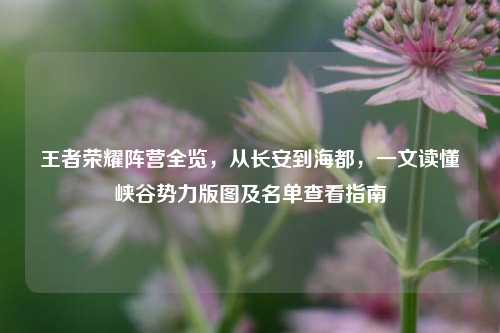王者荣耀阵营全览，从长安到海都，一文读懂峡谷势力版图及名单查看指南