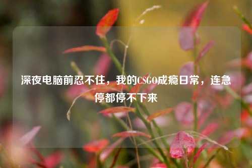 深夜电脑前忍不住，我的CSGO成瘾日常，连急停都停不下来