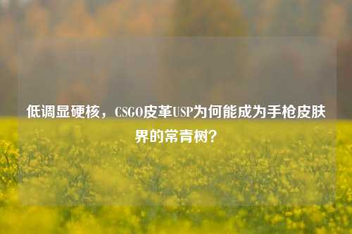 低调显硬核，CSGO皮革USP为何能成为手枪皮肤界的常青树？