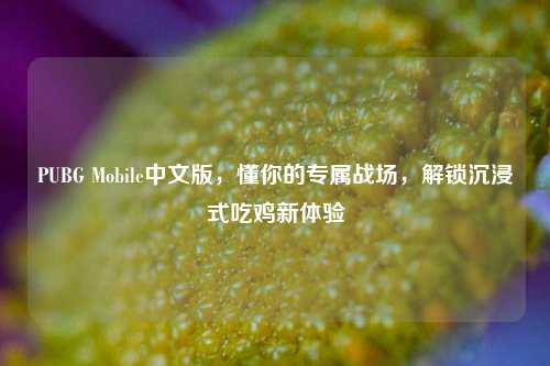 PUBG Mobile中文版，懂你的专属战场，解锁沉浸式吃鸡新体验