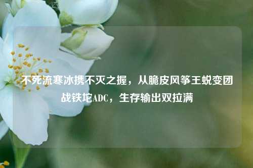 不死流寒冰携不灭之握，从脆皮风筝王蜕变团战铁坨ADC，生存输出双拉满