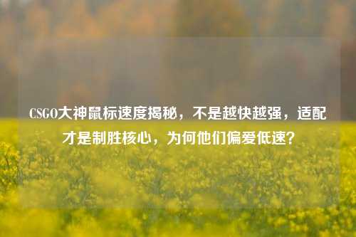 CSGO大神鼠标速度揭秘，不是越快越强，适配才是制胜核心，为何他们偏爱低速？