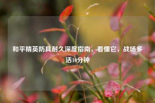 和平精英防具耐久深度指南，看懂它，战场多活10分钟