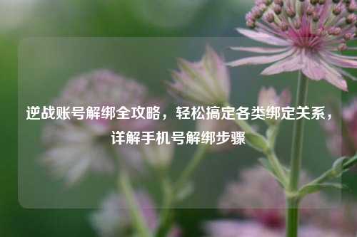 逆战账号解绑全攻略,轻松搞定各类绑定关系,详解手机号解绑步骤