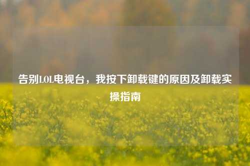 告别LOL电视台，我按下卸载键的原因及卸载实操指南