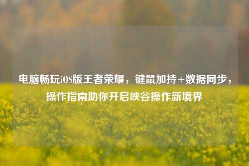 电脑畅玩iOS版王者荣耀，键鼠加持+数据同步，操作指南助你开启峡谷操作新境界
