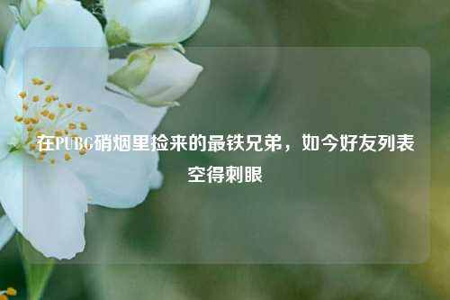 在PUBG硝烟里捡来的最铁兄弟,如今好友列表空得刺眼
