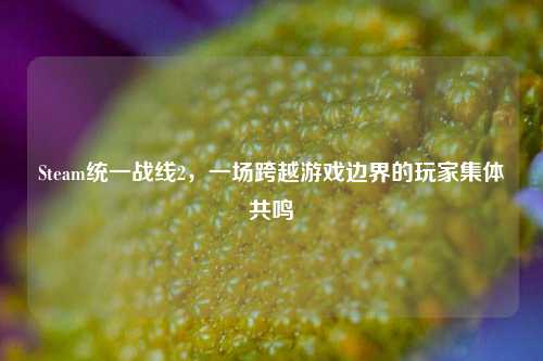 Steam统一战线2,一场跨越游戏边界的玩家集体共鸣