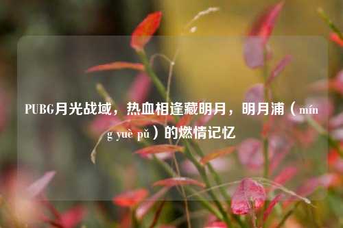 PUBG月光战域，热血相逢藏明月，明月浦（míng yuè pǔ）的燃情记忆