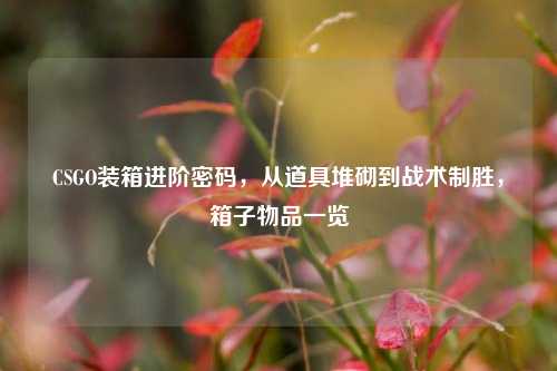 CSGO装箱进阶密码，从道具堆砌到战术制胜，箱子物品一览