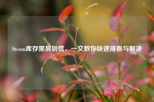 Steam库存黑屏别慌，一文教你快速排查与解决