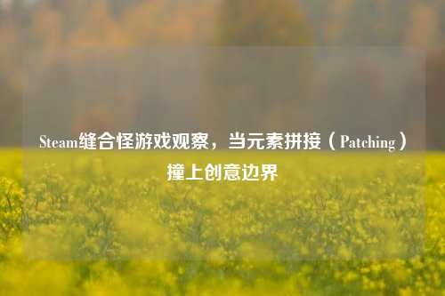 Steam缝合怪游戏观察，当元素拼接（Patching）撞上创意边界