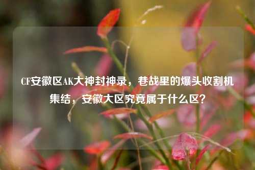 CF安徽区AK大神封神录,巷战里的爆头收割机集结,安徽大区究竟属于什么区?