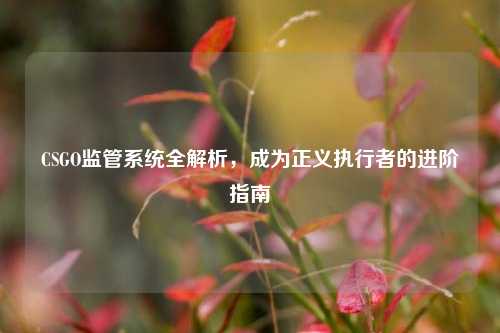 CSGO监管系统全解析，成为正义执行者的进阶指南