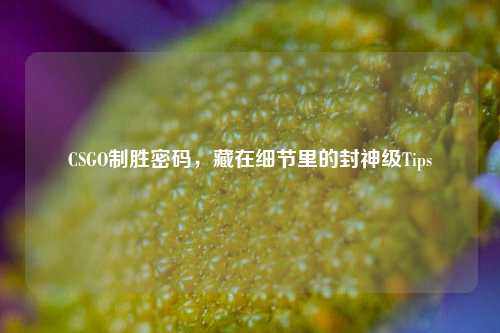 CSGO制胜密码，藏在细节里的封神级Tips