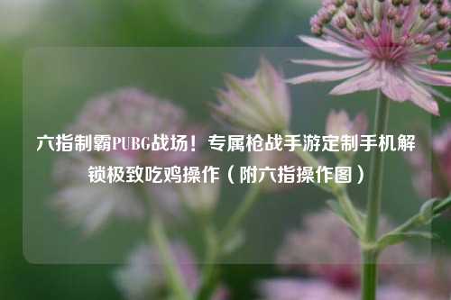 六指制霸PUBG战场！专属枪战手游定制手机解锁极致吃鸡操作（附六指操作图）