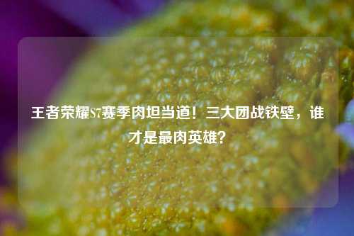 王者荣耀S7赛季肉坦当道!三大团战铁壁,谁才是最肉英雄?