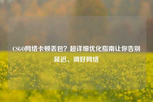 CSGO网络卡顿丢包？超详细优化指南让你告别延迟、调好网络