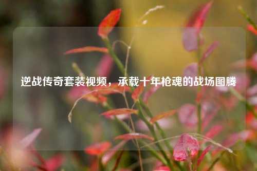 逆战传奇套装视频，承载十年枪魂的战场图腾