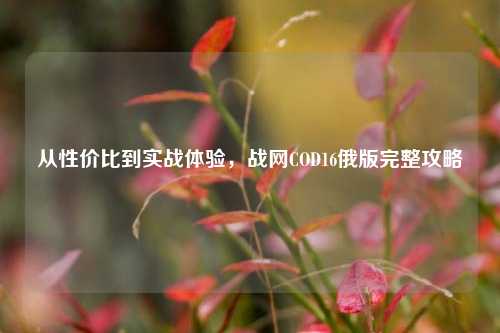 从性价比到实战体验，战网COD16俄版完整攻略