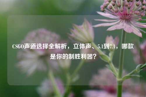 CSGO声道选择全解析,立体声、5.1到7.1,哪款是你的制胜利器?