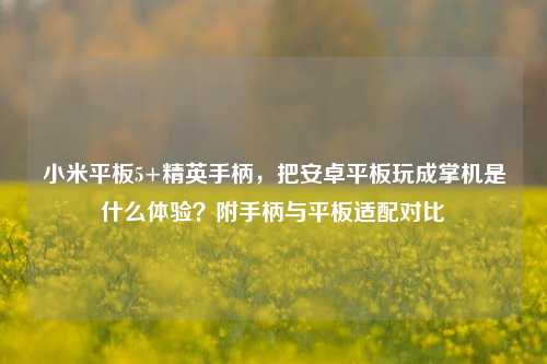 小米平板5+精英手柄,把安卓平板玩成掌机是什么体验?附手柄与平板适配对比
