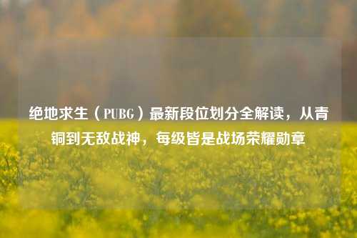 绝地求生(PUBG)最新段位划分全解读,从青铜到无敌战神,每级皆是战场荣耀勋章