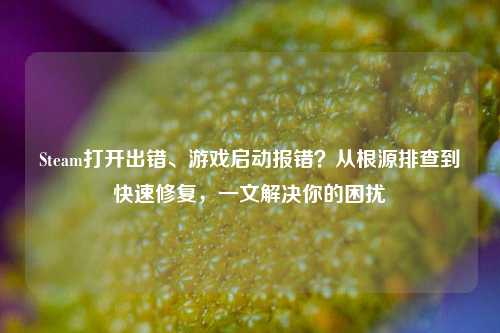 Steam打开出错、游戏启动报错?从根源排查到快速修复,一文解决你的困扰
