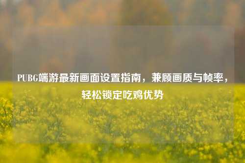PUBG端游最新画面设置指南，兼顾画质与帧率，轻松锁定吃鸡优势