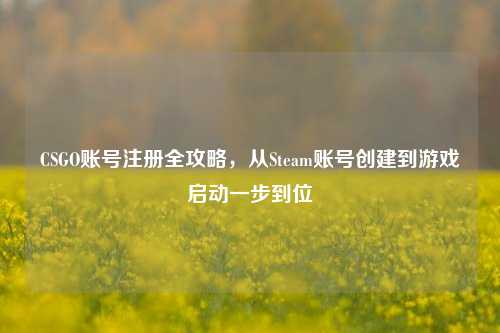 CSGO账号注册全攻略，从Steam账号创建到游戏启动一步到位