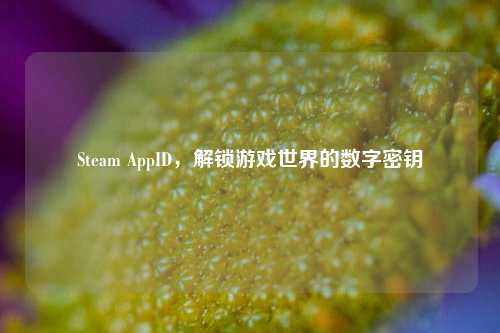 Steam AppID，解锁游戏世界的数字密钥