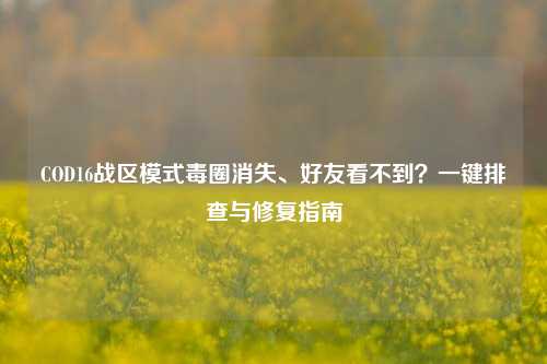 COD16战区模式毒圈消失、好友看不到？一键排查与修复指南