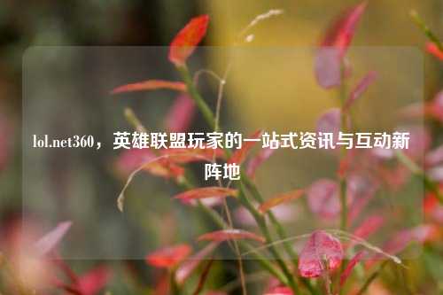 lol.net360，英雄联盟玩家的一站式资讯与互动新阵地