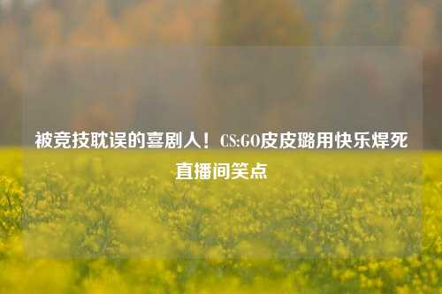 被竞技耽误的喜剧人!CS:GO皮皮璐用快乐焊死直播间笑点