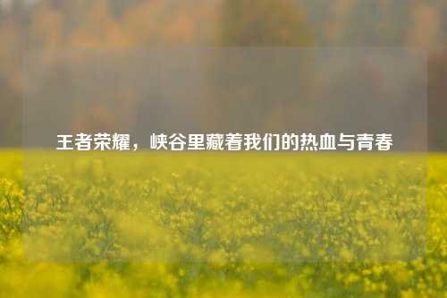 王者荣耀，峡谷里藏着我们的热血与青春
