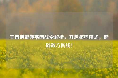 王者荣耀典韦团战全解析，开启疯狗模式，撕碎敌方防线！