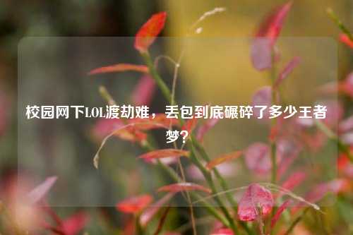 校园网下LOL渡劫难，丢包到底碾碎了多少王者梦？