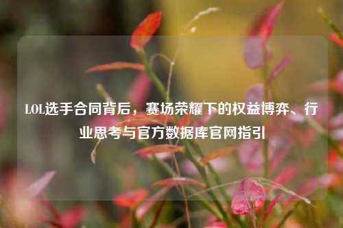 LOL选手合同背后，赛场荣耀下的权益博弈、行业思考与官方数据库官网指引