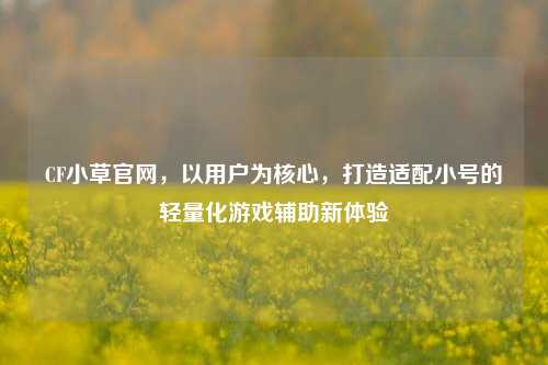 CF小草官网，以用户为核心，打造适配小号的轻量化游戏辅助新体验
