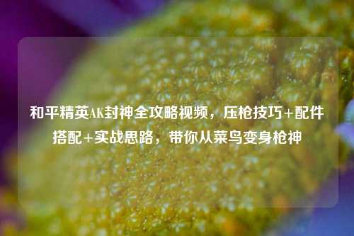 和平精英AK封神全攻略视频，压枪技巧+配件搭配+实战思路，带你从菜鸟变身枪神