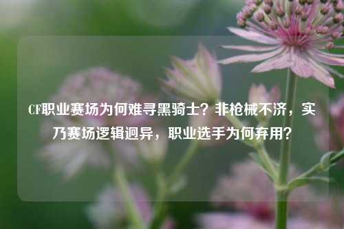 CF职业赛场为何难寻黑骑士？非枪械不济，实乃赛场逻辑迥异，职业选手为何弃用？
