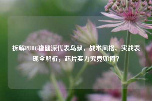 拆解PUBG稳健派代表鸟叔，战术风格、实战表现全解析，芯片实力究竟如何？
