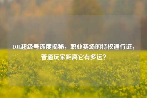 LOL超级号深度揭秘，职业赛场的特权通行证，普通玩家距离它有多远？
